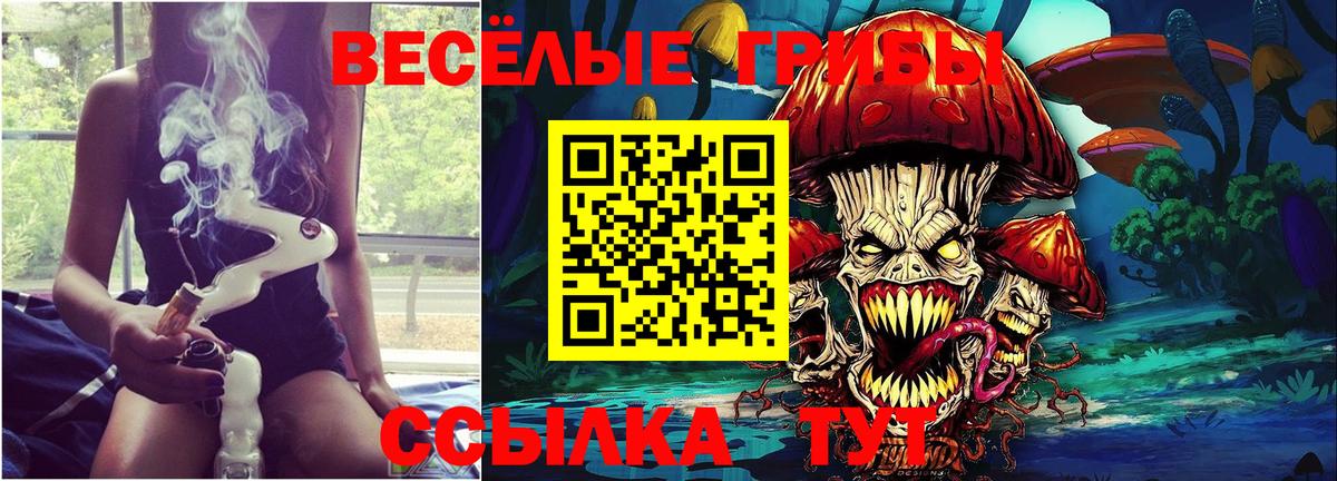 Галлюциногенные грибы прущие грибы  Вход с VPN  Железноводск 